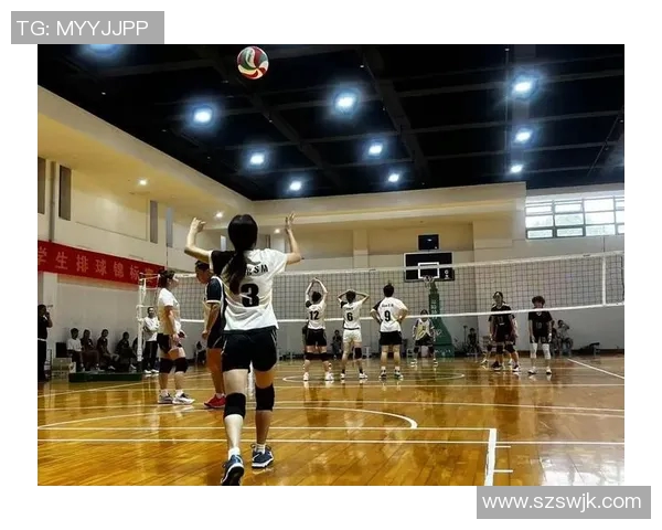 成都排球队的默契配合与战术分析探讨排球竞技的魅力与团队精神